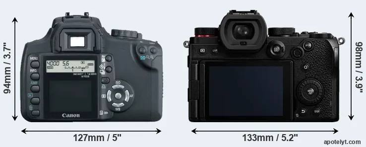 Comparison 350D or S5 rear