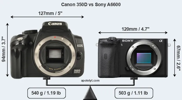 Size Canon 350D vs Sony A6600