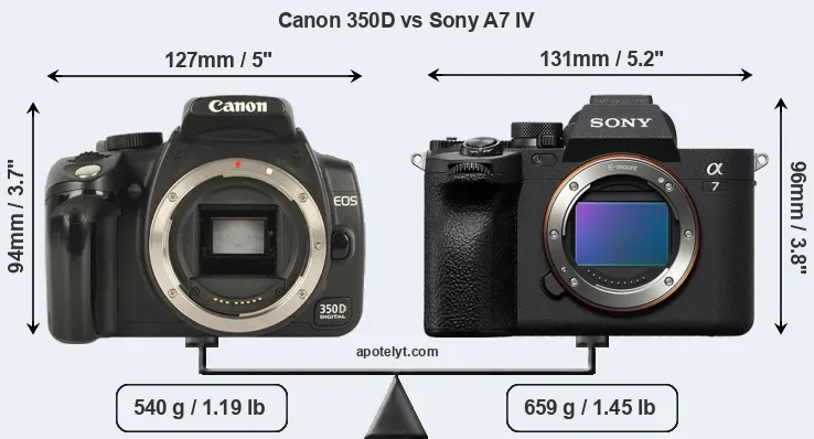 Size Canon 350D vs Sony A7 IV