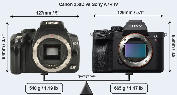Size Canon 350D vs Sony A7R IV