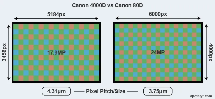 4000D versus 80D MP