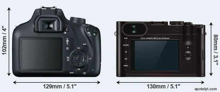 Comparison 4000D or Q Typ 116 rear