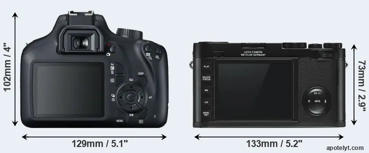 Comparison 4000D or X Typ 113 rear