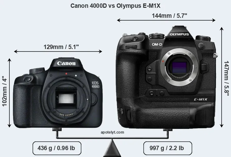 Size Canon 4000D vs Olympus E-M1X