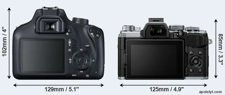 Comparison 4000D or E-M5 III rear