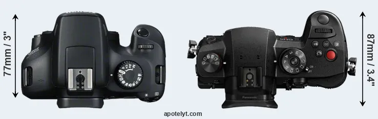 Compare 4000D versus GH5 II top