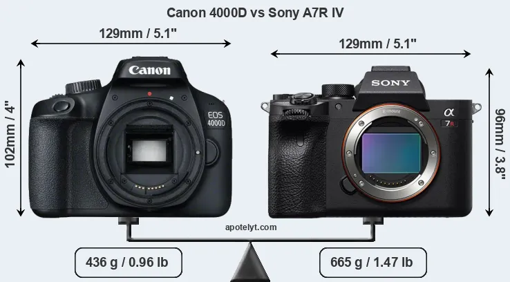 Size Canon 4000D vs Sony A7R IV