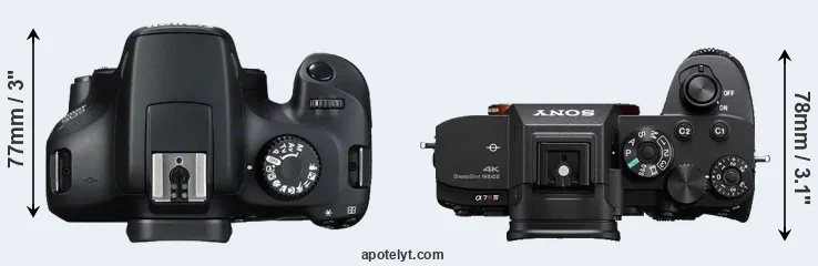 Compare 4000D versus A7R IV top