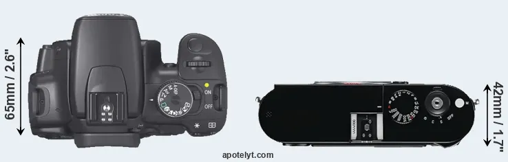 Compare 400D versus M Typ 240 top