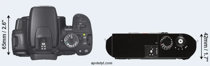 Compare 400D versus M Typ 262 top