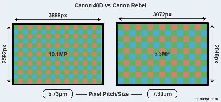40D versus Rebel MP