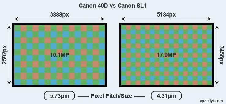40D versus SL1 MP