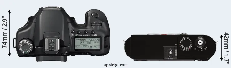 Compare 40D versus M Typ 262 top