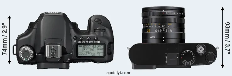 Compare 40D versus Q3 top