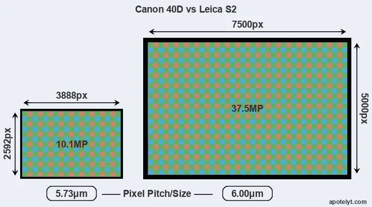 40D versus S2 MP