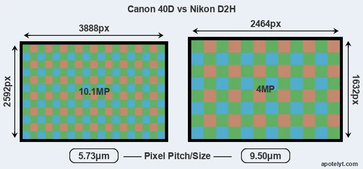 40D versus D2H MP
