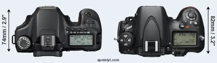 Compare 40D versus D800 top