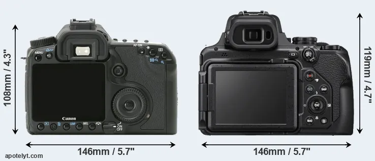 Comparison 40D or P1000 rear
