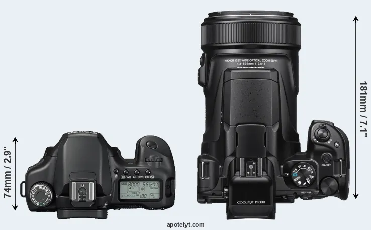 Compare 40D versus P1000 top