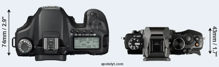 Compare 40D versus E-M5 top