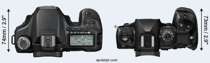 Compare 40D versus OM-1 II top