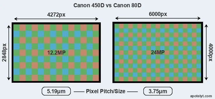 450D versus 80D MP