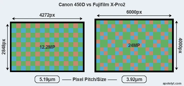 450D versus X-Pro2 MP