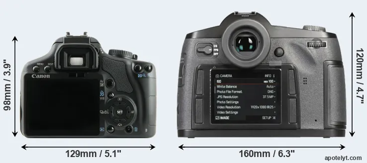 Comparison 450D or S-E Typ 006 rear