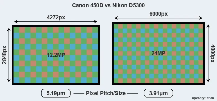 450D versus D5300 MP