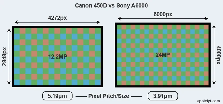 450D versus A6000 MP