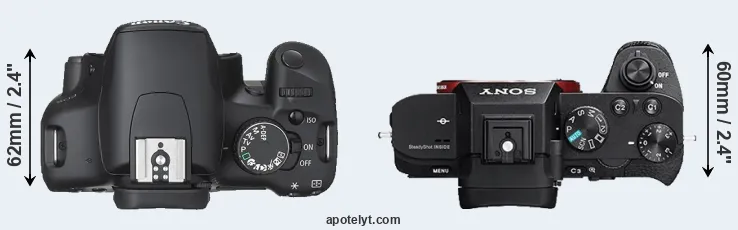 Compare 450D versus A7R II top