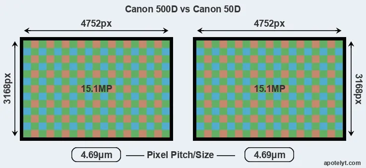 500D versus 50D MP