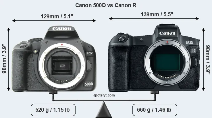Size Canon 500D vs Canon R