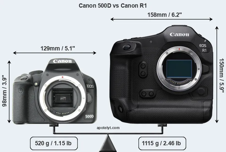 Size Canon 500D vs Canon R1
