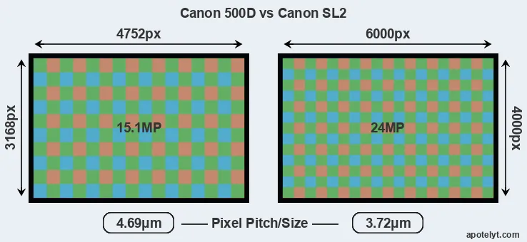 500D versus SL2 MP