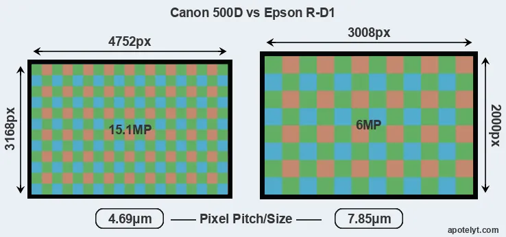 500D versus R-D1 MP