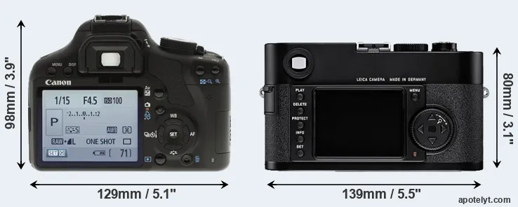 Comparison 500D or M8 rear