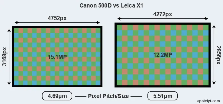 500D versus X1 MP
