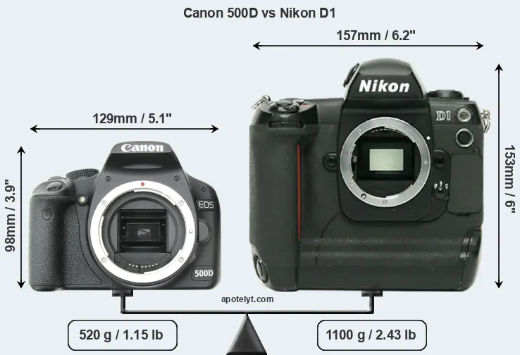 Size Canon 500D vs Nikon D1