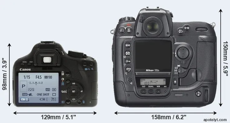 Comparison 500D or D2Xs rear