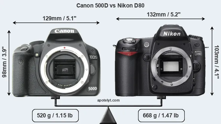 Size Canon 500D vs Nikon D80