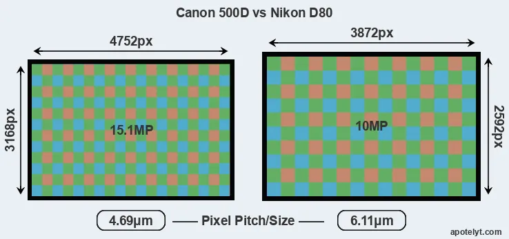 500D versus D80 MP