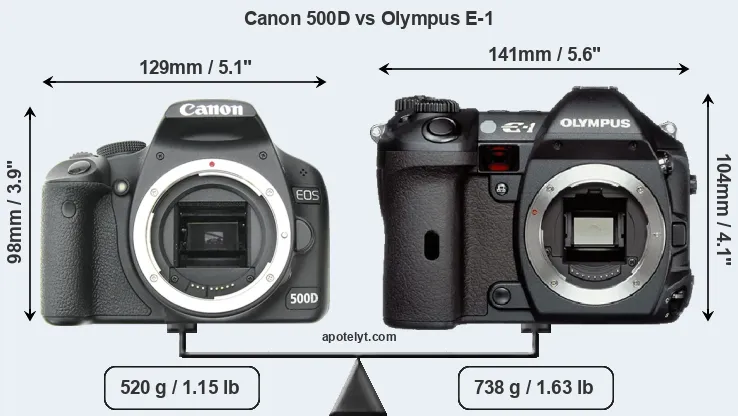 Size Canon 500D vs Olympus E-1