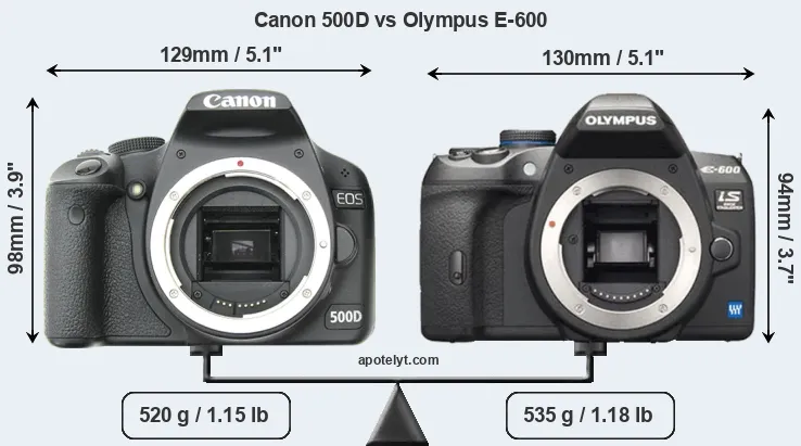 Size Canon 500D vs Olympus E-600