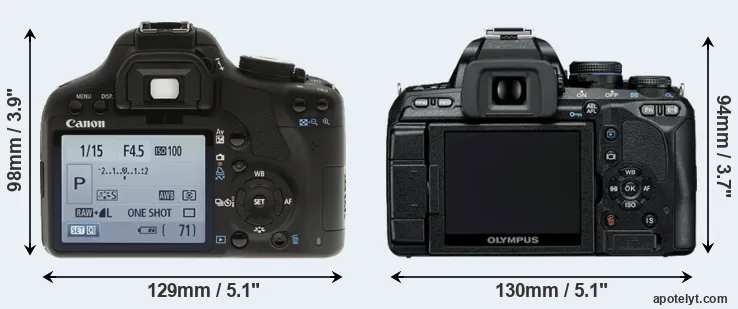 Comparison 500D or E-600 rear
