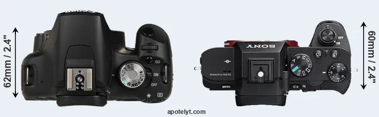 Compare 500D versus A7R II top