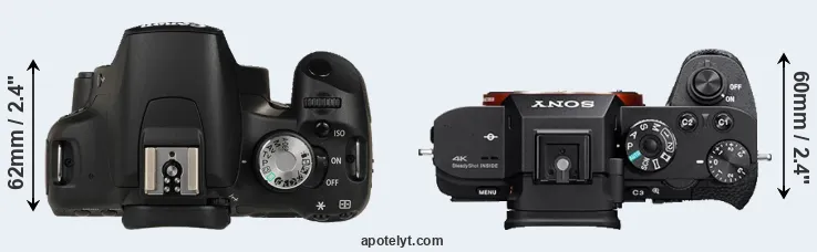 Compare 500D versus A7S II top