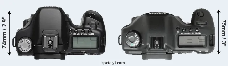 Compare 50D versus 5D top