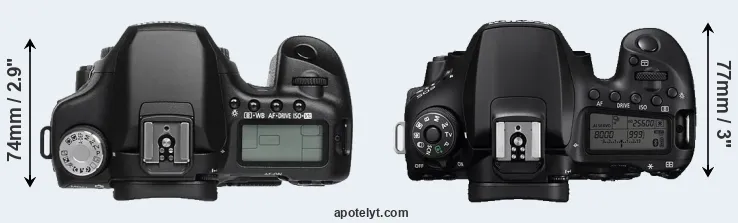 Compare 50D versus 90D top