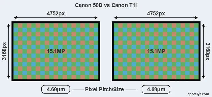 50D versus T1i MP